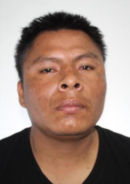 Kucson Tapullima Panduro