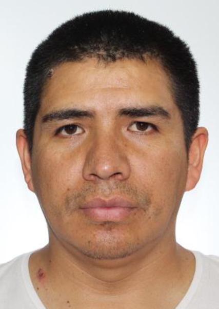 Leibniz Quispe Palomino