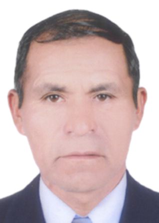Leonidas llancari napanga