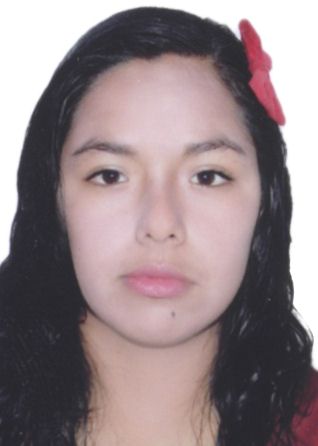 Leydy Diana Sinche Castillo