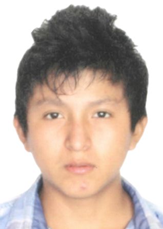 Limner Edwin Vitor Meza