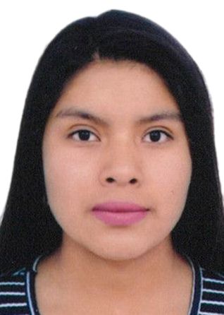 Liseth Nelva Tito Mamani