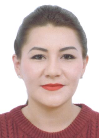 Lisseth Melendez Vargas