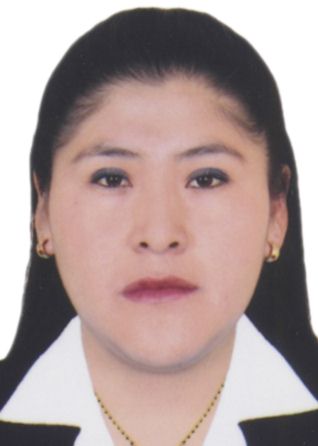 Liz Diana Mamani Quisocala