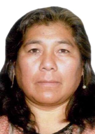 Lourdes Alvarado Salazar