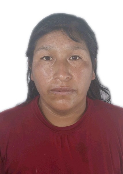 Lourdes Huaynapata Alanoca