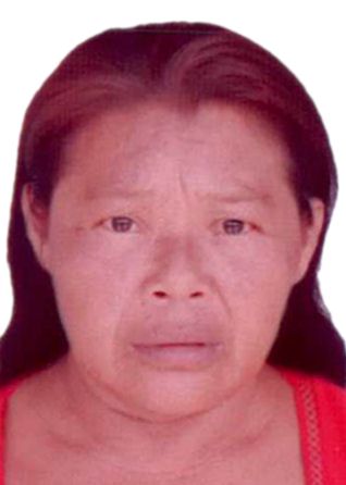 Lucia Nonato Ferreira