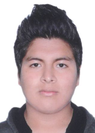Luis Angel Zapana Arellano