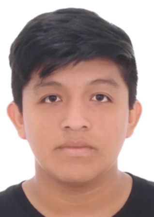 Luis david chafloque velasquez