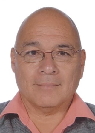 Luis enrique fujita alarcon