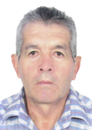 Luis Fernando Toledo Tincopa