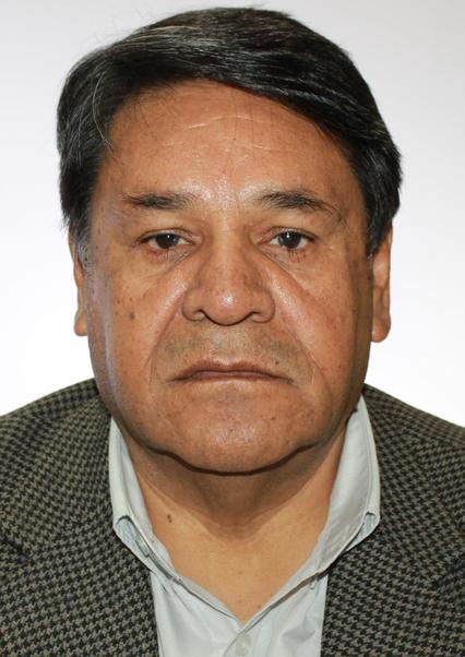 Luis roberto gamero juarez