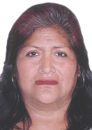 Luisa Gamboa Villano