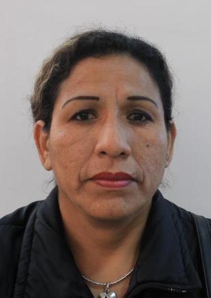 Lulu carlos contreras