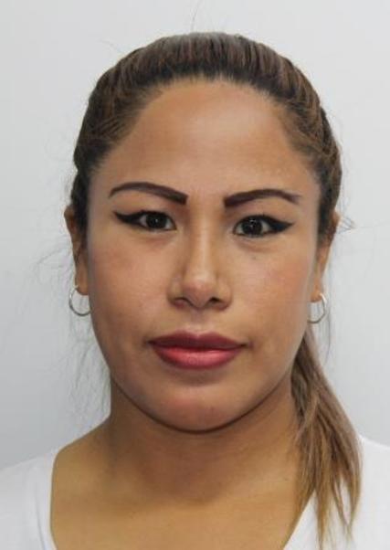 Luz Angelica Apolinario Llanco