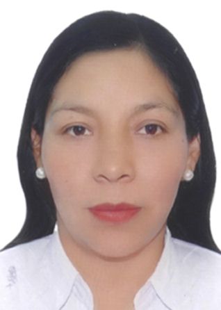 Luz erika ccarhuarupay ccorimanya