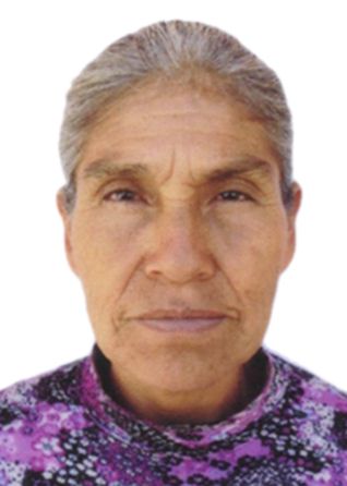 Luz Eusebia Ramos De Chuquitaype