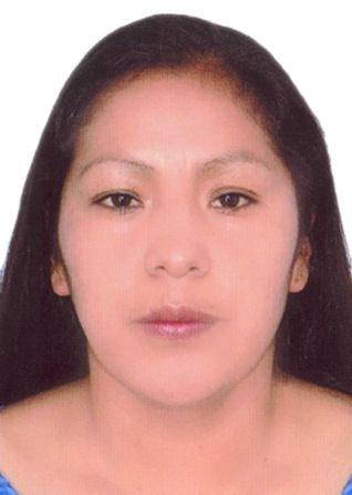 Luz marina zambrano farfan