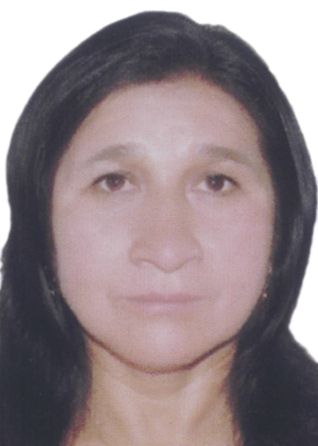 Luzmila Quino Jara