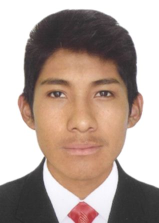 Marcos David Llerena Medina