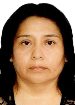 Maria elena bardales flores