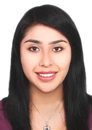 Mariafernanda teresa gamero concha