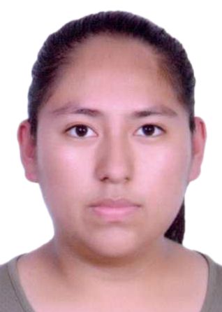 Mariam bethzabe castro huayna