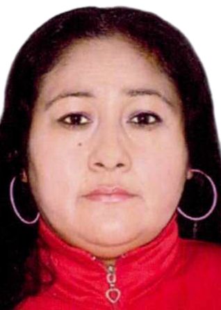 Marisol Villafuerte Gomez