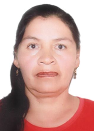 Marysol Pulcha Carrasco