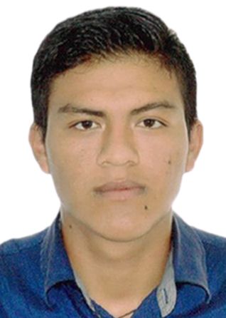 Maykol Ismael Lucero Manayay