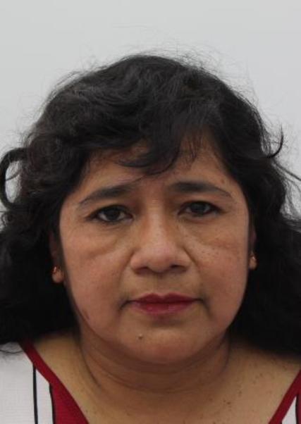 Mercedes Esmery Carlos Flores