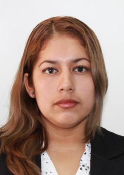 Mery elita palomino rodriguez