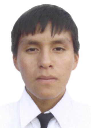 Michael Denis Riveros Ataucusi