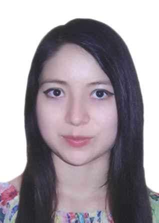 Milagros castillo hoyos