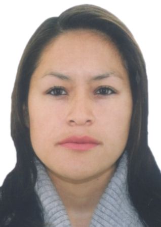 Milagros marisel inche arias