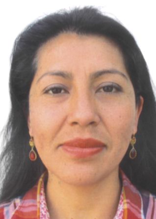 Mirtha rosy castillo saavedra