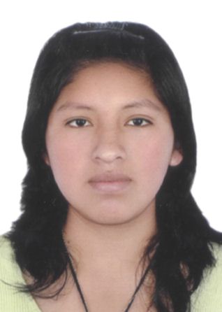 Mischel rosa luz jara torres