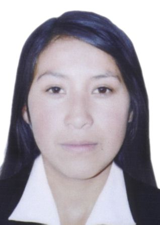 Mishael Huillca Bustamante