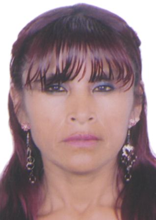 Nelly Colquehuanca Condori