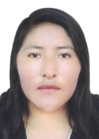 Nery Cinthia Mamani Livisi