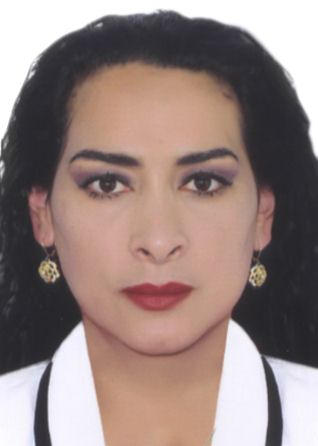 Nilda villavicencio flores