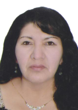 Noemi turpo condori