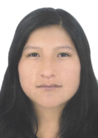 Norma vargas alccahua