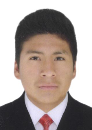 Pedro fernando quijia suri