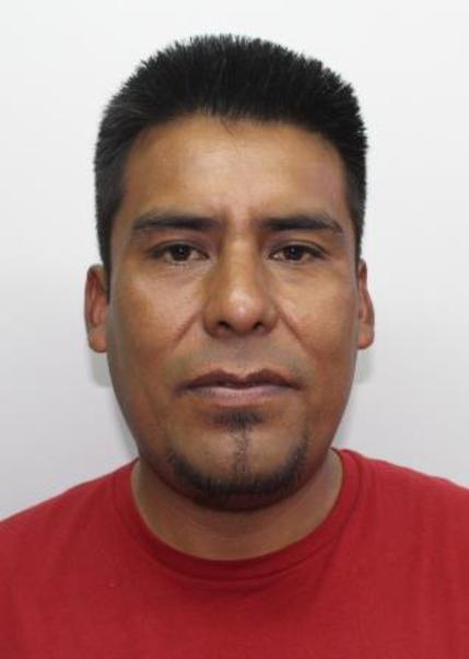 Percy godoy medina
