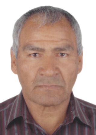 Primitivo remigio valdivia zeballos