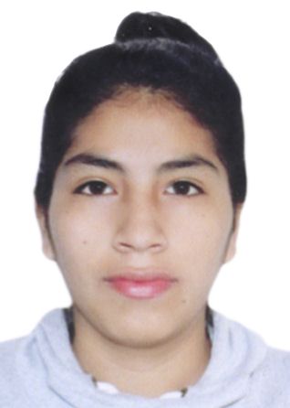 Priscila Joyce Palomino Castro