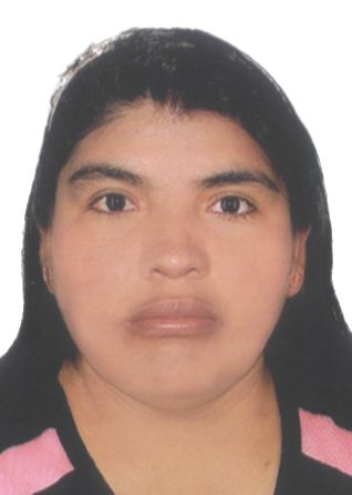 Ramelia Eulogia Paria Llica