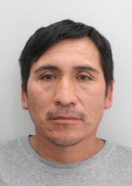 Raul Edgar Mamani Casilla
