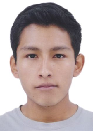 Renato Mauricio Vargas Garcia